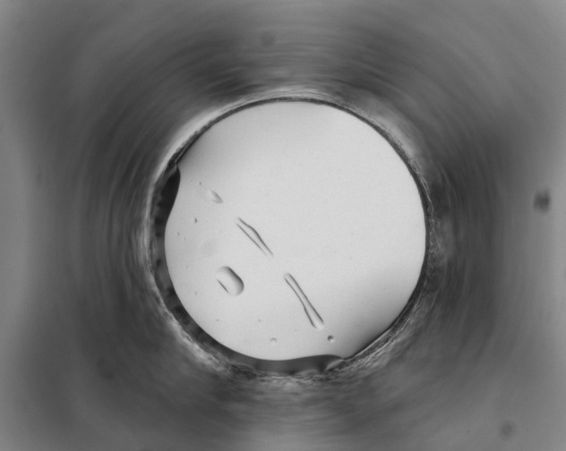 X0000097990910200804211101