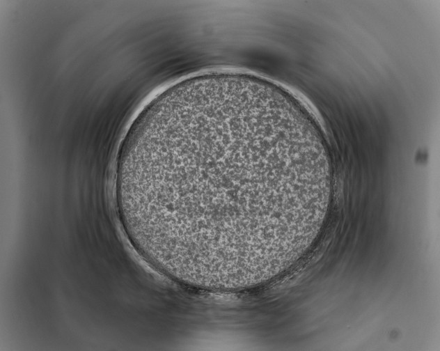 X0000097990911200804211101