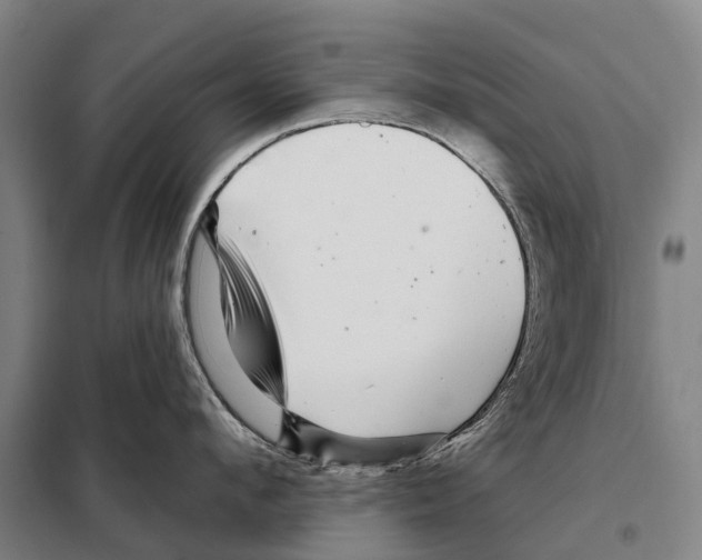 X0000097990912200804211101