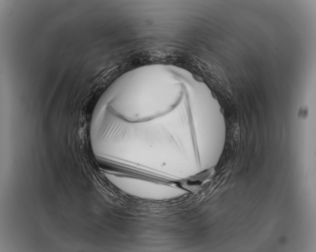 X0000097990914200804211100