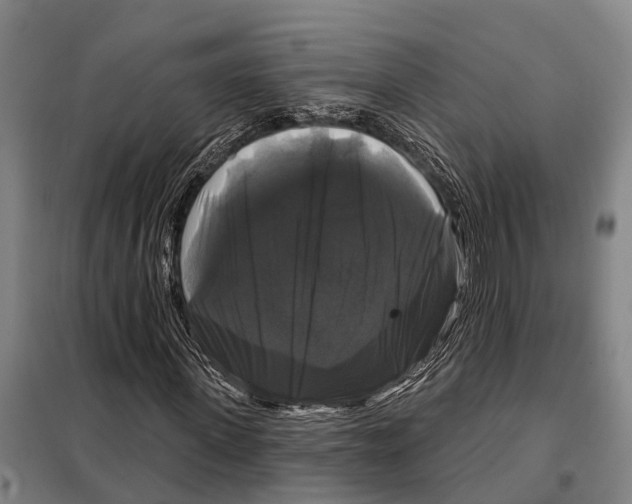 X0000097990915200804211100