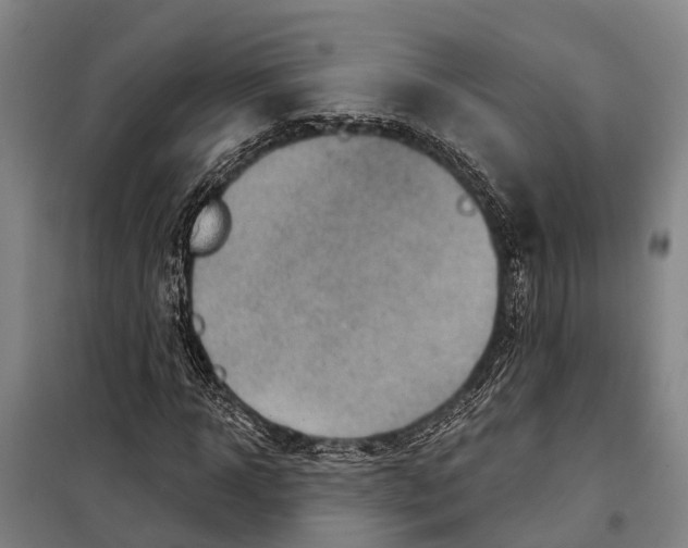 X0000097990918200804211100