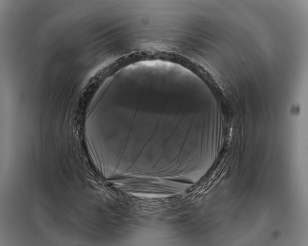 X0000097990919200804211100