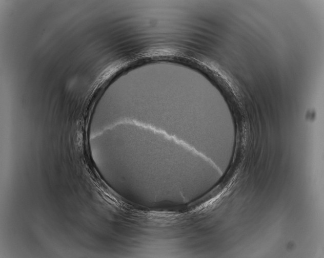 X0000097990921200804211100