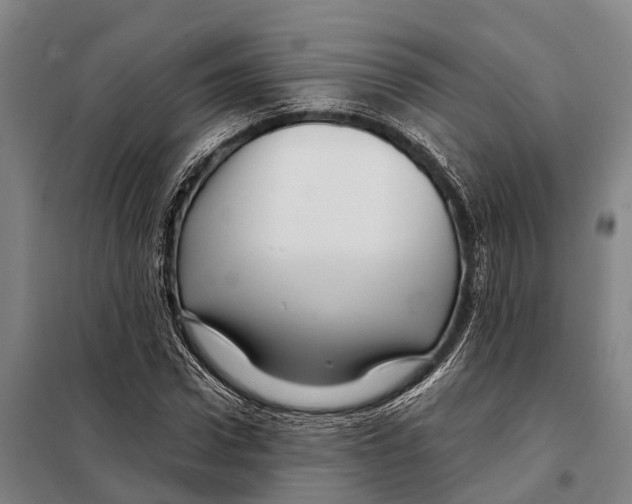 X0000097990922200804211100