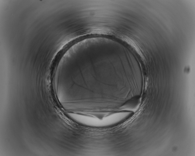 X0000097990923200804211100