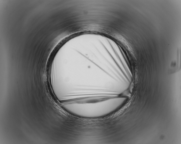 X0000097990924200804211100