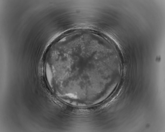 X0000097990925200804211100