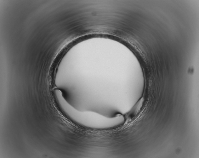 X0000097990926200804211100