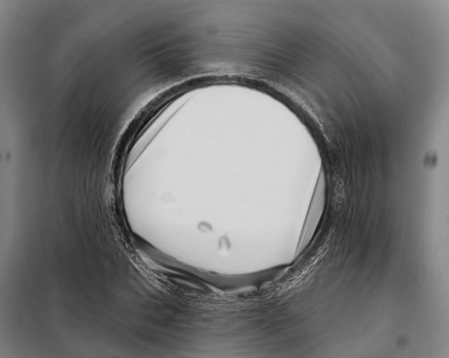 X0000097990927200804211100