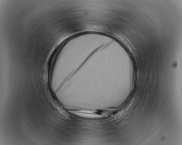 X0000097990931200804211100