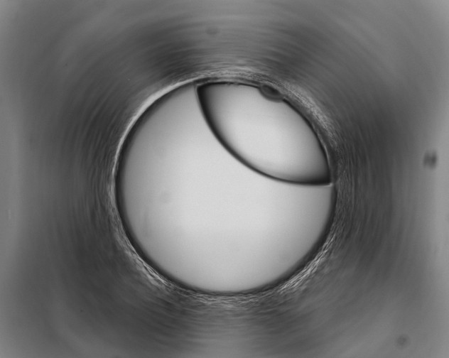 X0000097990932200804211100