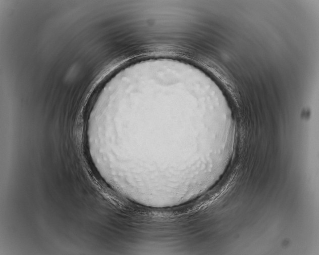 X0000097990933200804211100