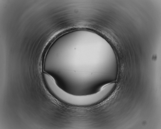 X0000097990934200804211100