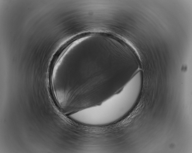 X0000097990935200804211100