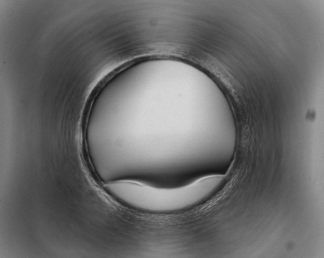 X0000097990936200804211100