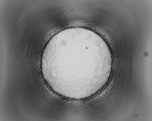 X0000097990937200804211100