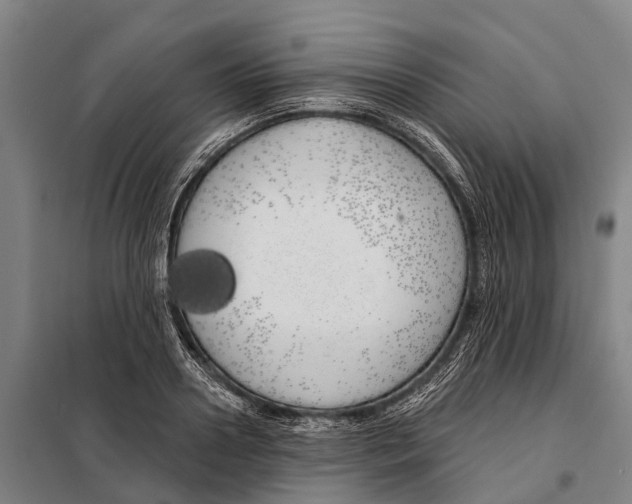 X0000097990938200804211100