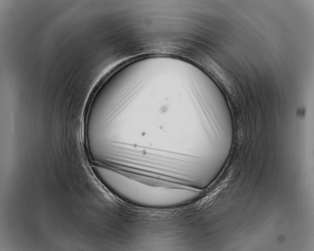 X0000097990940200804211100