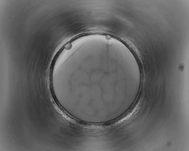 X0000097990941200804211100