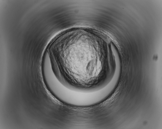 X0000097990942200804211100