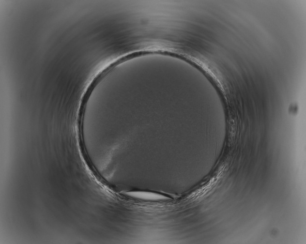 X0000097990943200804211100