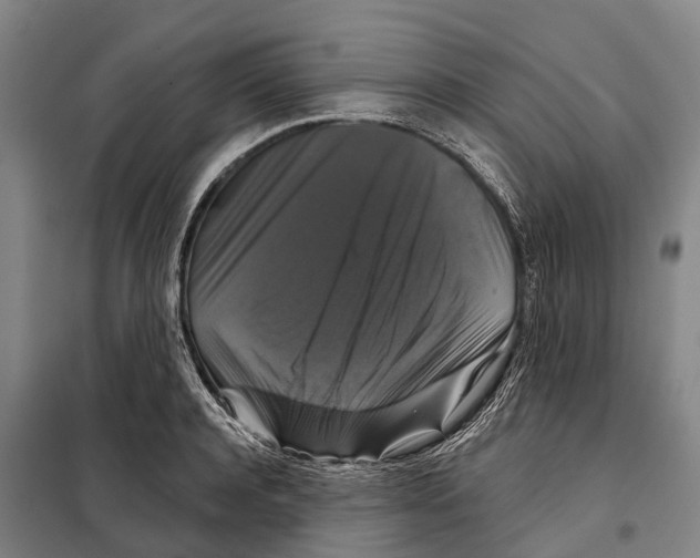 X0000097990944200804211100