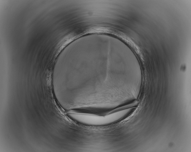 X0000097990945200804211100