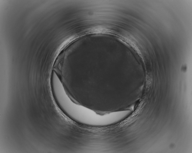 X0000097990946200804211100