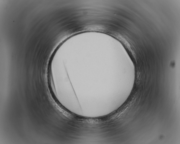 X0000097990947200804211100