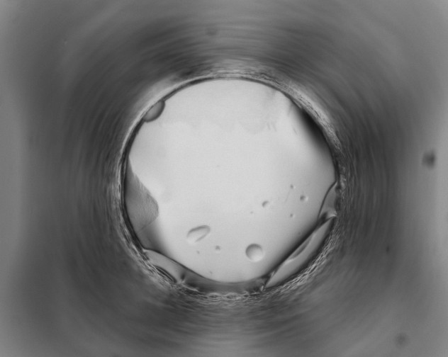 X0000097990948200804211100