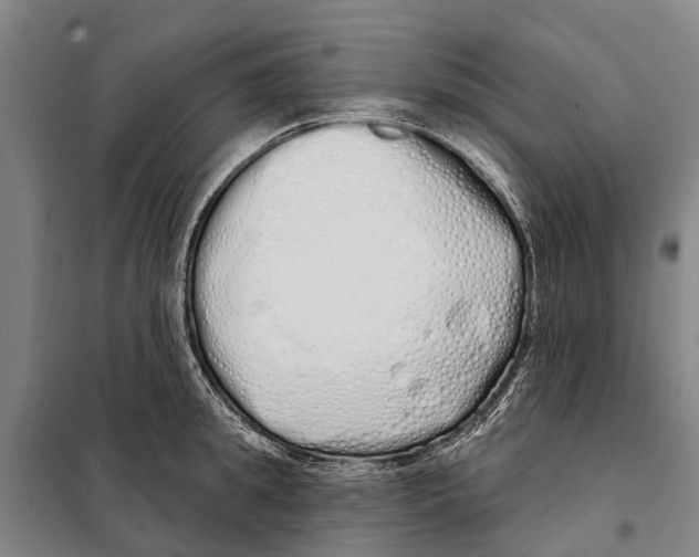 X0000097990949200804211100