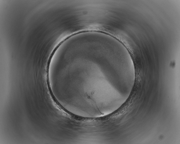 X0000097990950200804211100