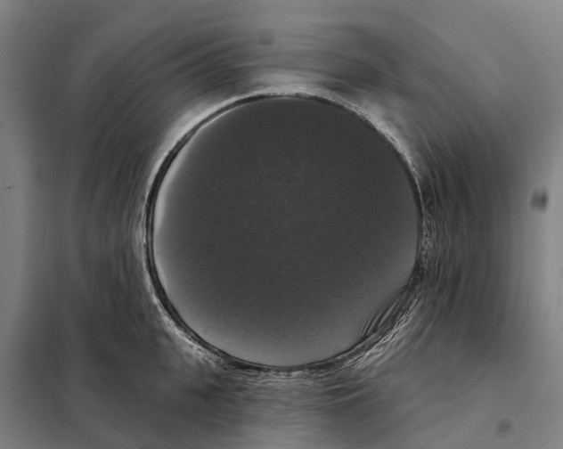 X0000097990951200804211100