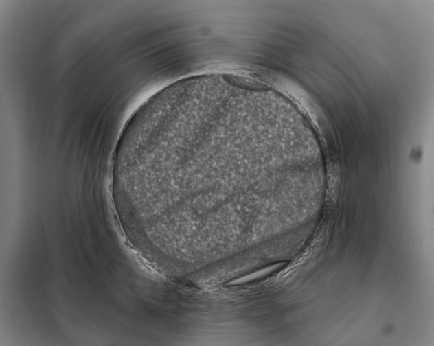 X0000097990952200804211100