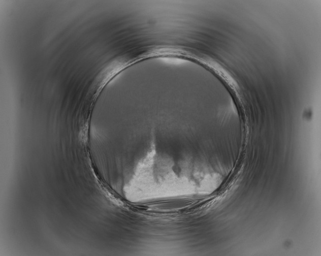 X0000097990953200804211100