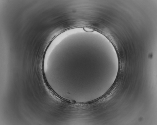 X0000097990954200804211101