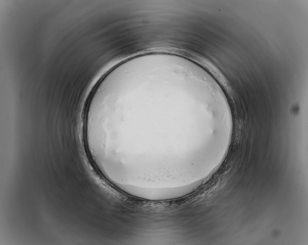 X0000097990955200804211101