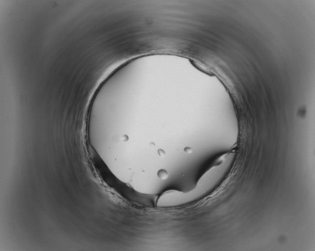 X0000097990956200804211101