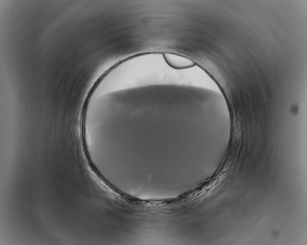 X0000097990958200804211101