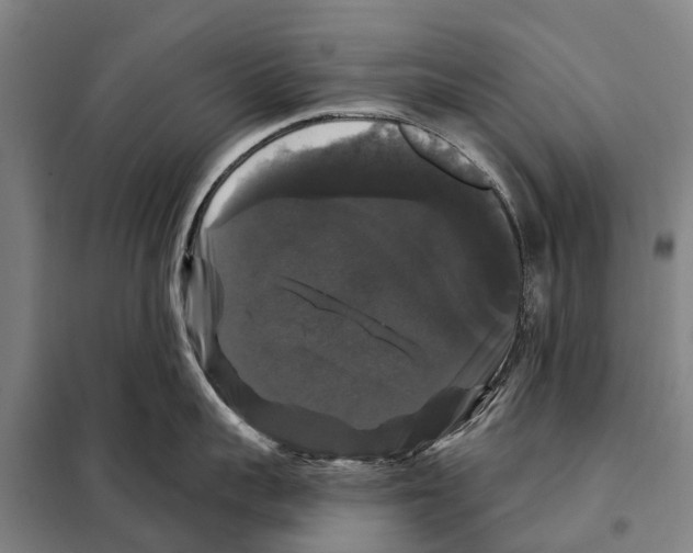 X0000097990959200804211101