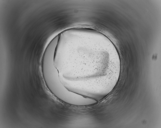 X0000097990960200804211101