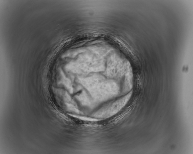 X0000097990961200804211100