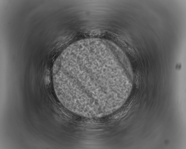 X0000097990962200804211100