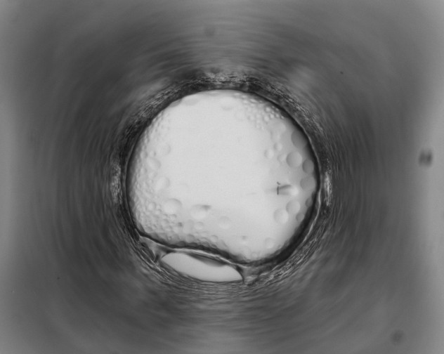 X0000097990963200804211100