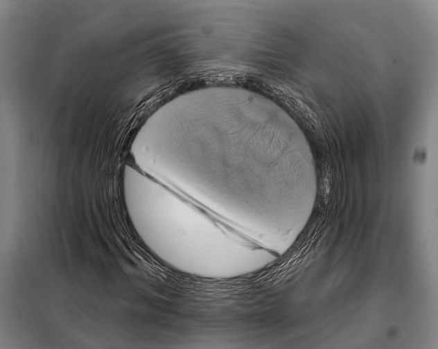 X0000097990964200804211100