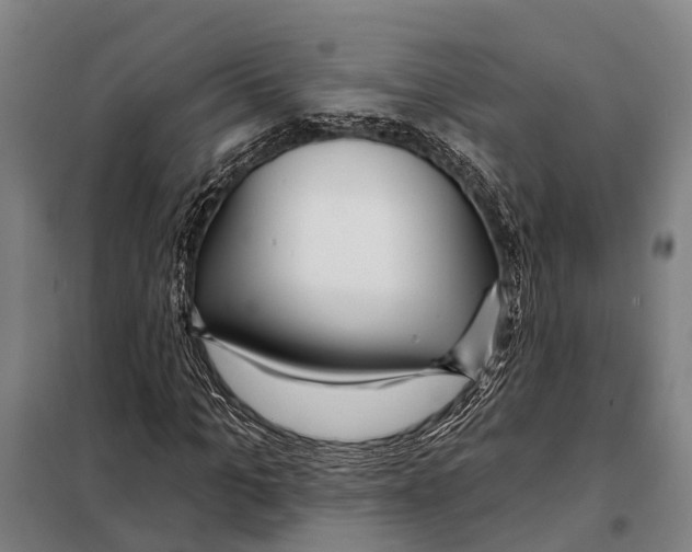 X0000097990965200804211100