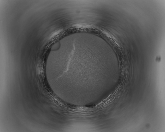 X0000097990966200804211100