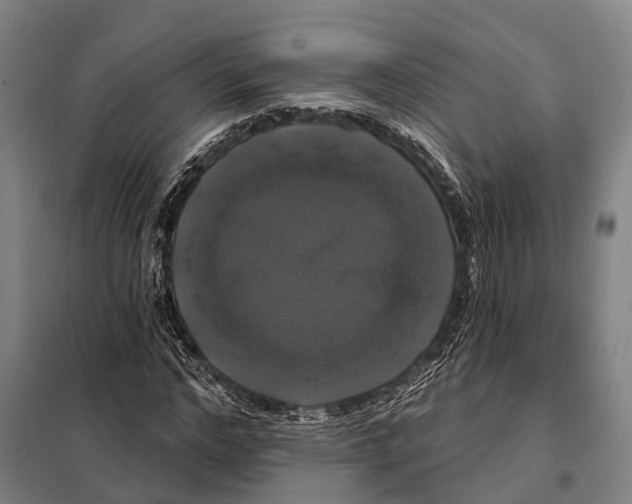 X0000097990968200804211100