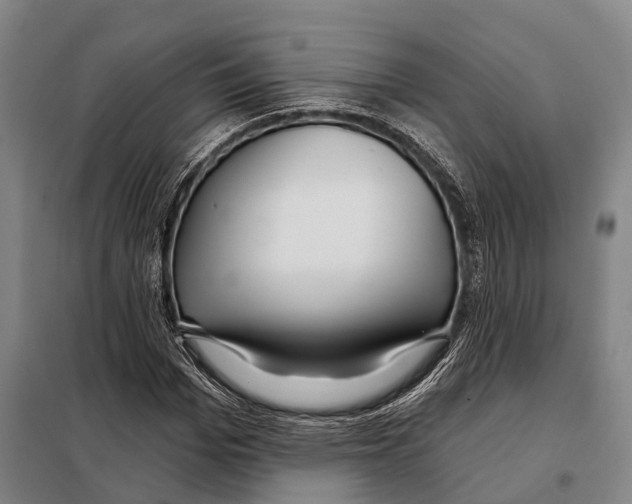 X0000097990969200804211100